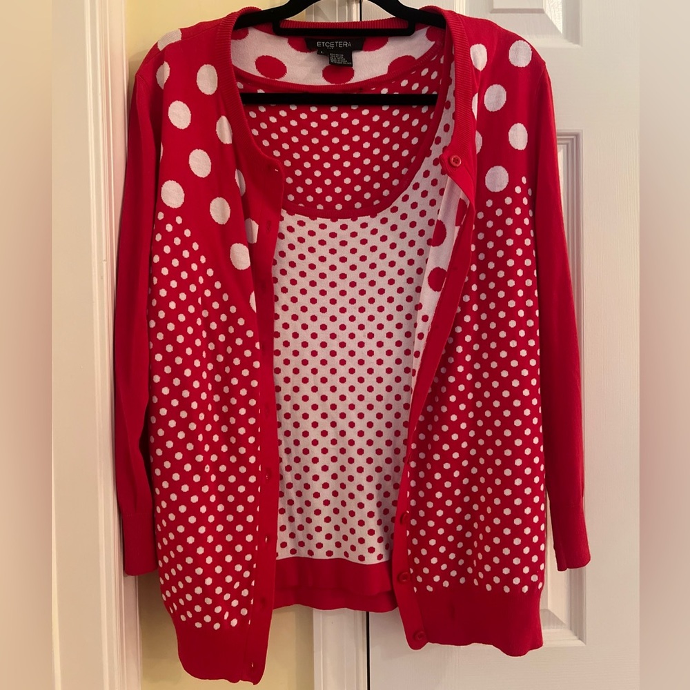Red and white sweater with top, from ETCETERA.